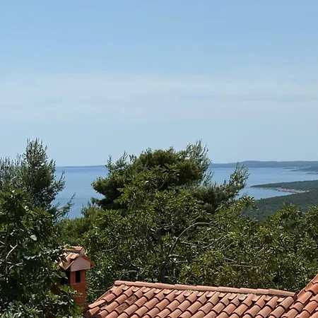 Apartment Burin Viskovici